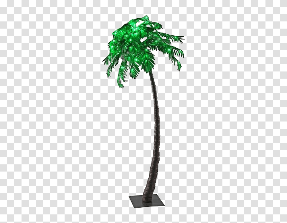 Palm Tree Images Pictures Photos Arts, Plant, Arecaceae, Lamp Transparent Png