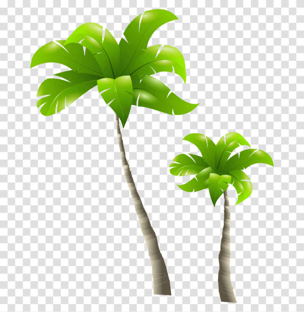 Palm Tree Images Tall And Short Clipart, Plant, Arecaceae, Leaf, Flower Transparent Png