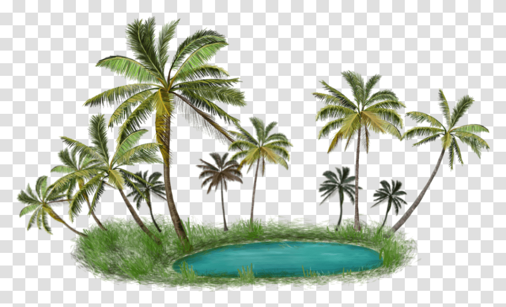 Palm Tree Island Palm Tree Island, Plant, Green, Vegetation, Arecaceae Transparent Png