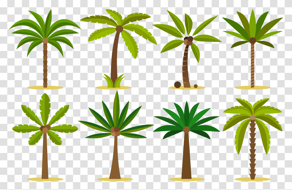 Palm Tree Island Tattoo, Plant, Arecaceae, Annonaceae, Hemp Transparent Png