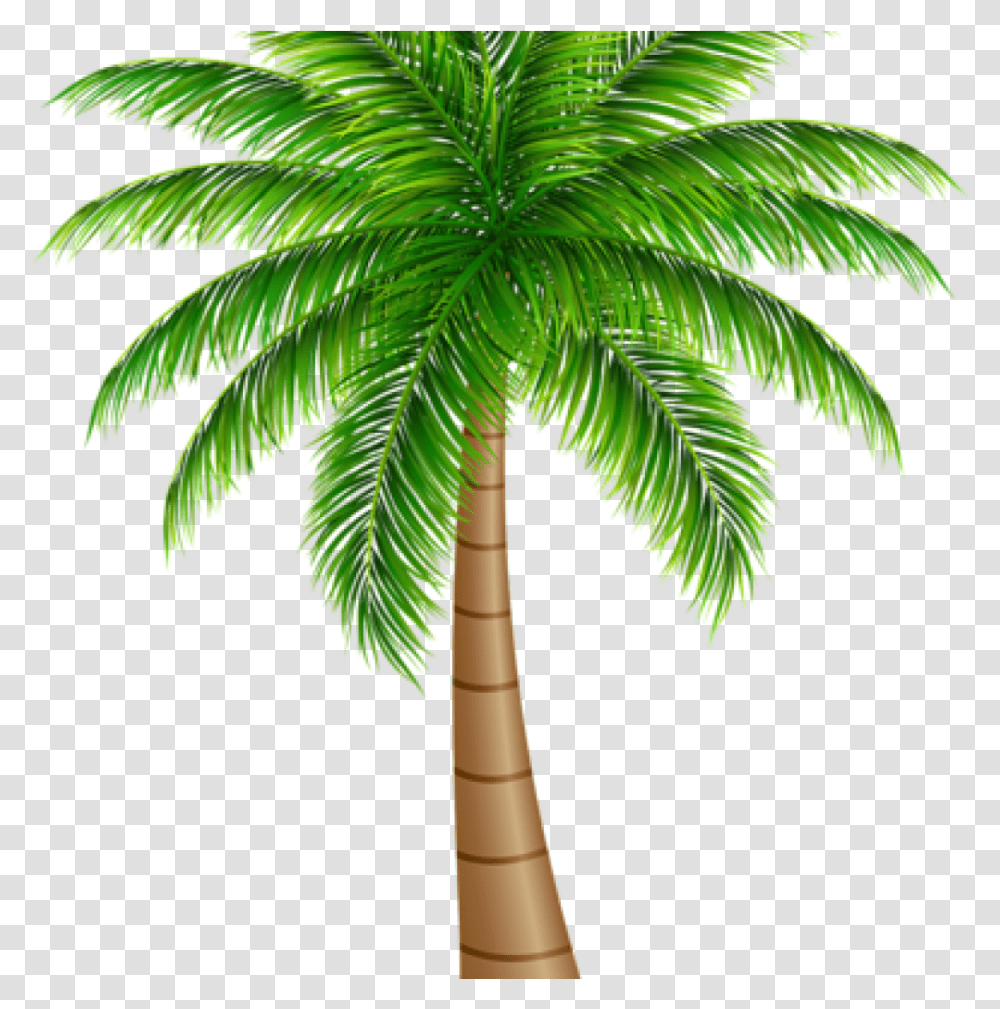Palm Tree Large Clip Art Image Palm Tree Art, Plant, Arecaceae, Green, Leaf Transparent Png