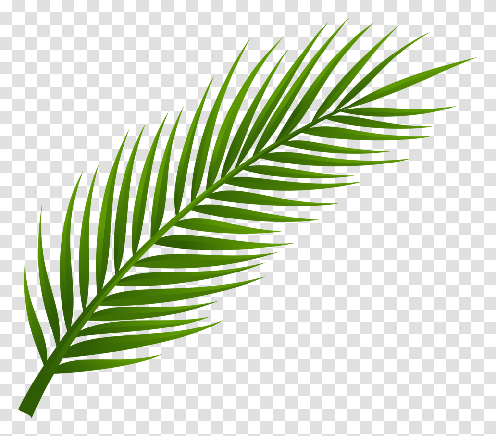 Palm Tree Leaf Clip Art, Plant, Bird, Animal, Veins Transparent Png