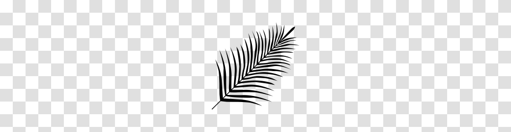 Palm Tree Leaf Icons Noun Project, Gray, World Of Warcraft Transparent Png