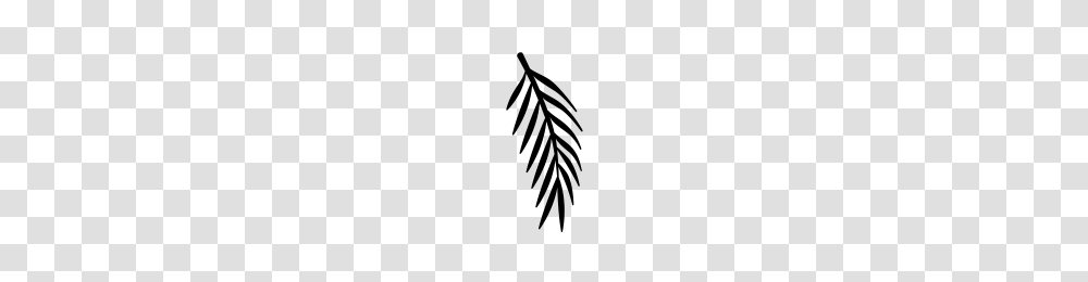Palm Tree Leaf Icons Noun Project, Gray, World Of Warcraft Transparent Png