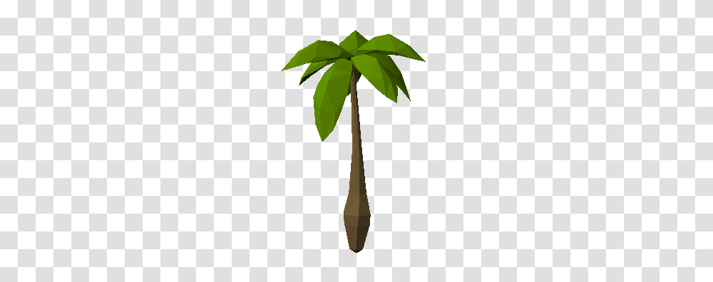 Palm Tree, Leaf, Plant, Arecaceae, Cross Transparent Png