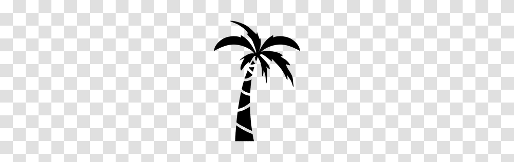 Palm Tree Leaves Frame, Plant, Arecaceae, Cross Transparent Png