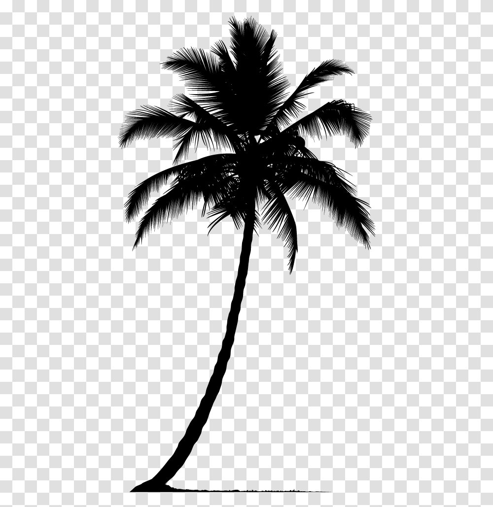 Palm Tree, Nature, Gray, World Of Warcraft Transparent Png