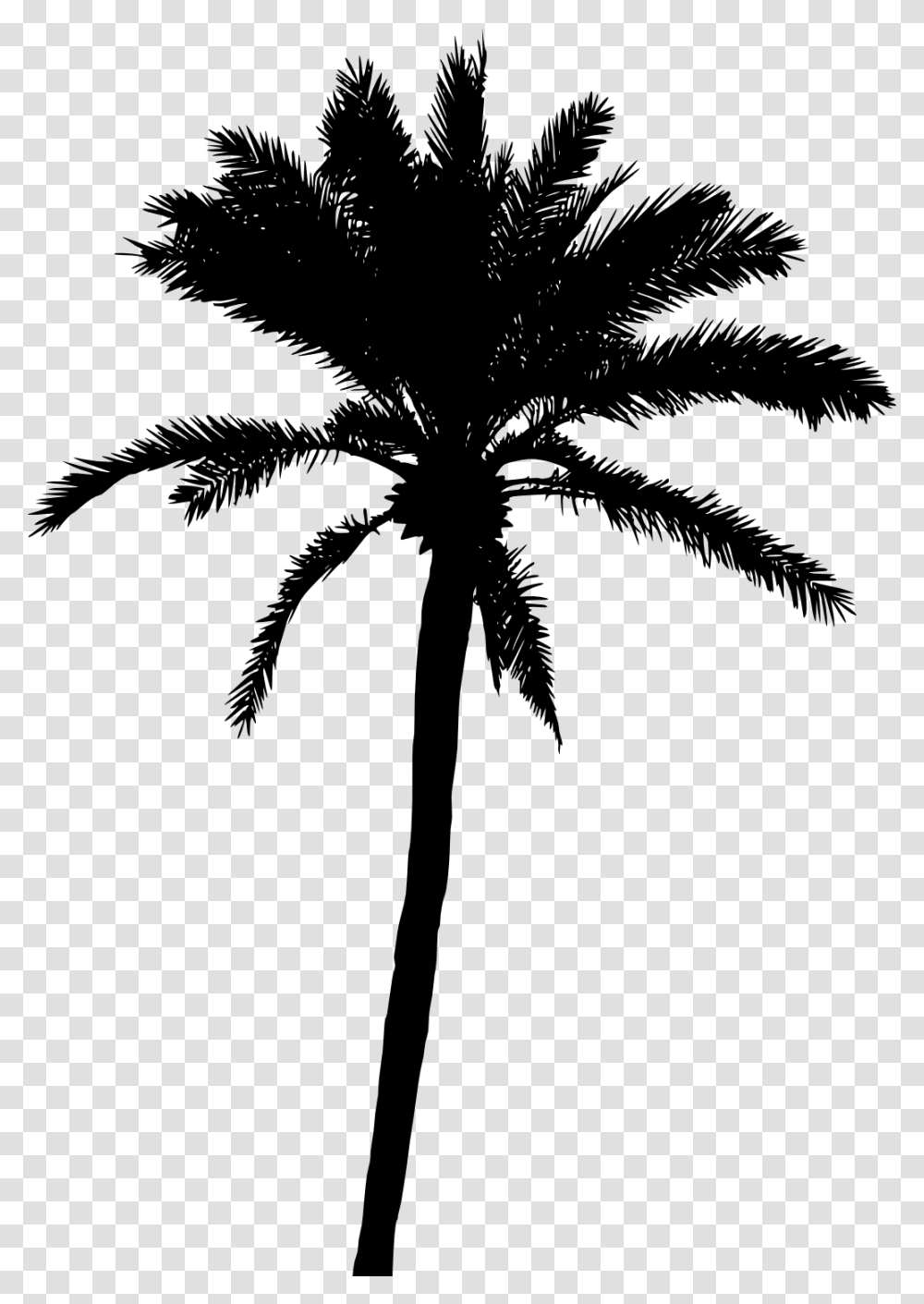 Palm Tree, Nature, Gray, World Of Warcraft Transparent Png