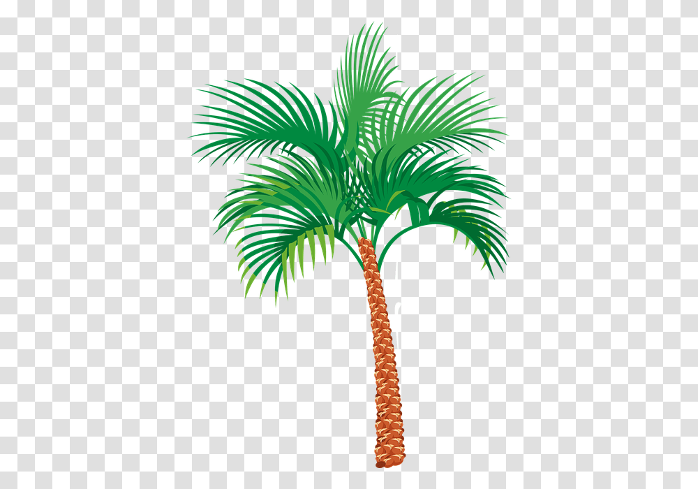 Palm Tree, Nature, Plant, Arecaceae, Bird Transparent Png