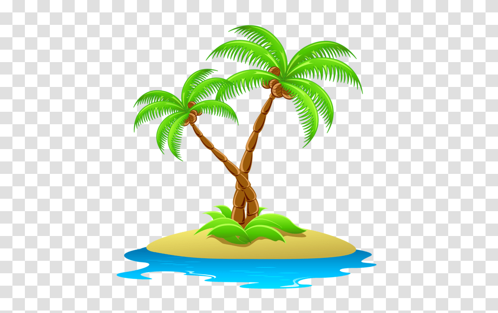 Palm Tree, Nature, Plant, Arecaceae, Conifer Transparent Png