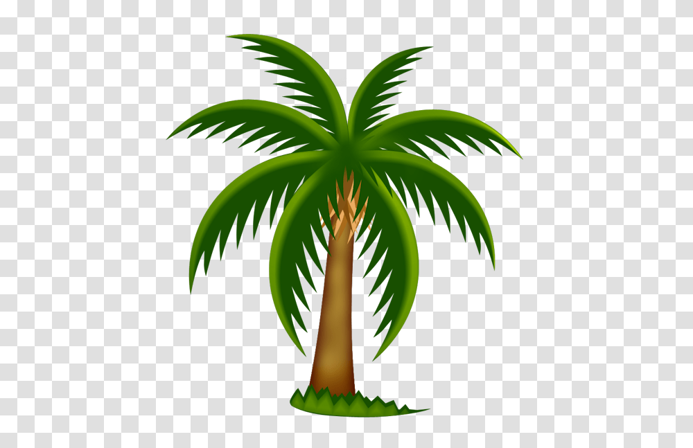 Palm Tree, Nature, Plant, Arecaceae, Flyer Transparent Png