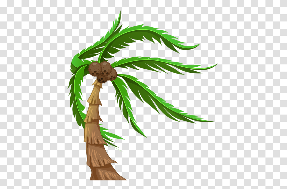 Palm Tree, Nature, Plant, Arecaceae, Food Transparent Png