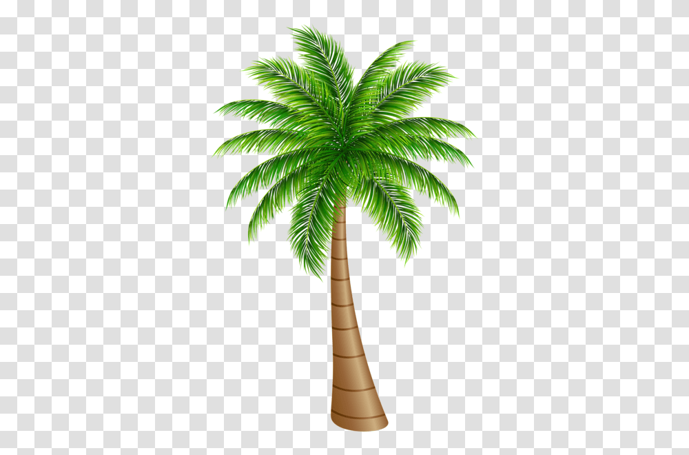 Palm Tree, Nature, Plant, Arecaceae, Green Transparent Png