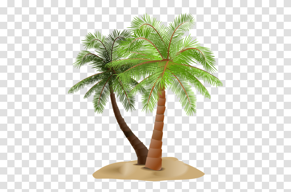 Palm Tree, Nature, Plant, Arecaceae, Lamp Transparent Png