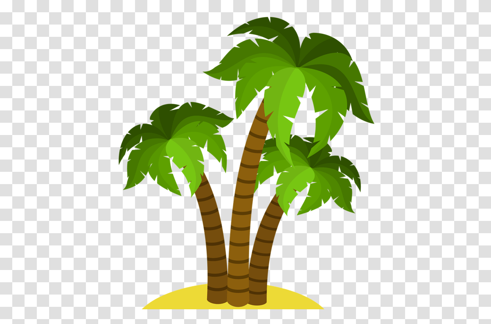 Palm Tree, Nature, Plant, Arecaceae, Leaf Transparent Png