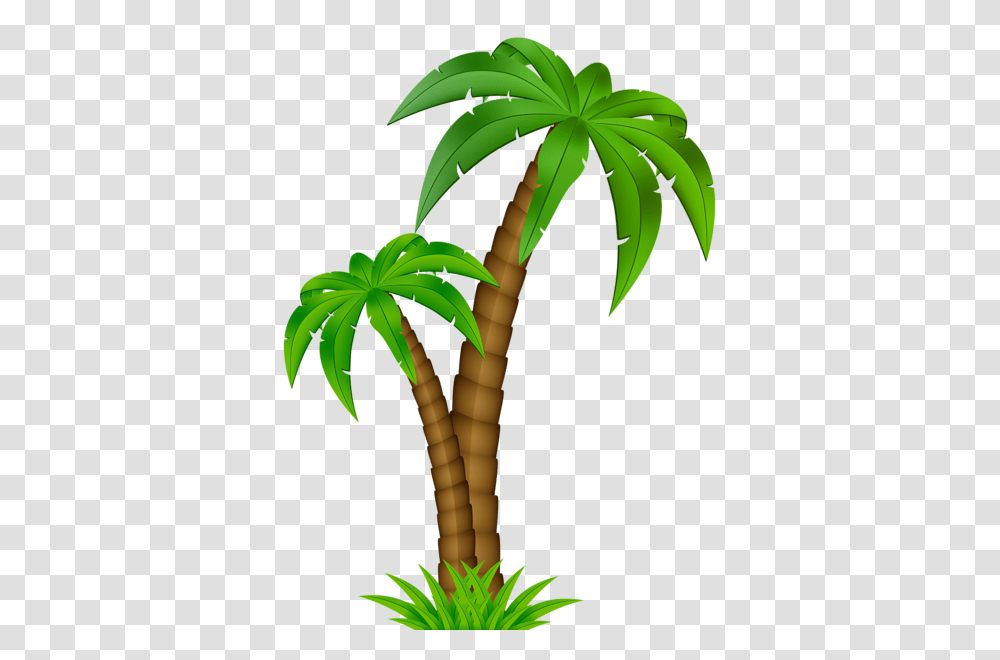 Palm Tree, Nature, Plant, Banana, Fruit Transparent Png