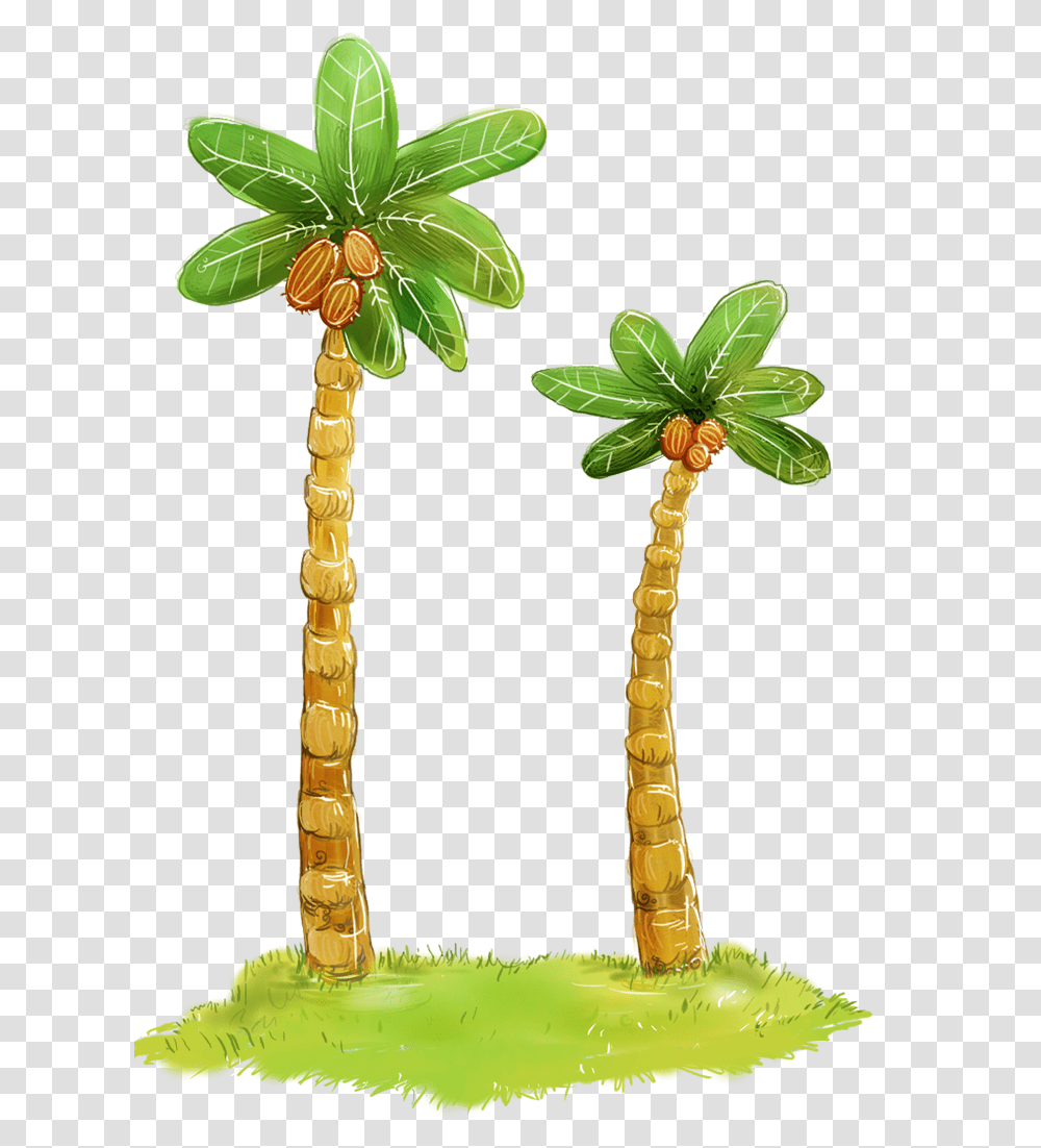 Palm Tree, Nature, Plant, Conifer, Flower Transparent Png