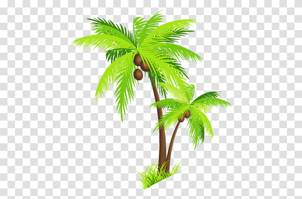 Palm Tree, Nature, Plant, Fruit, Food Transparent Png