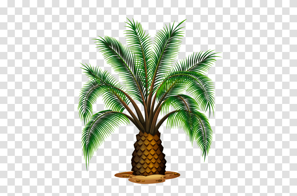 Palm Tree, Nature, Plant, Fruit, Food Transparent Png