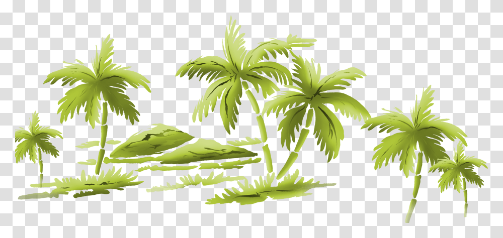 Palm Tree, Nature, Plant, Green, Hemp Transparent Png