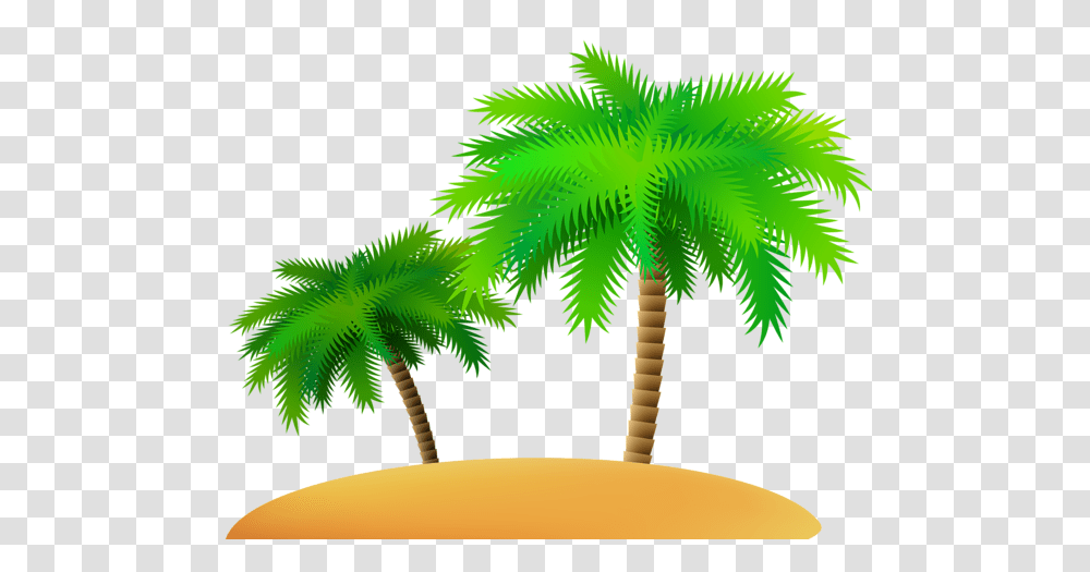 Palm Tree, Nature, Plant, Leaf, Green Transparent Png