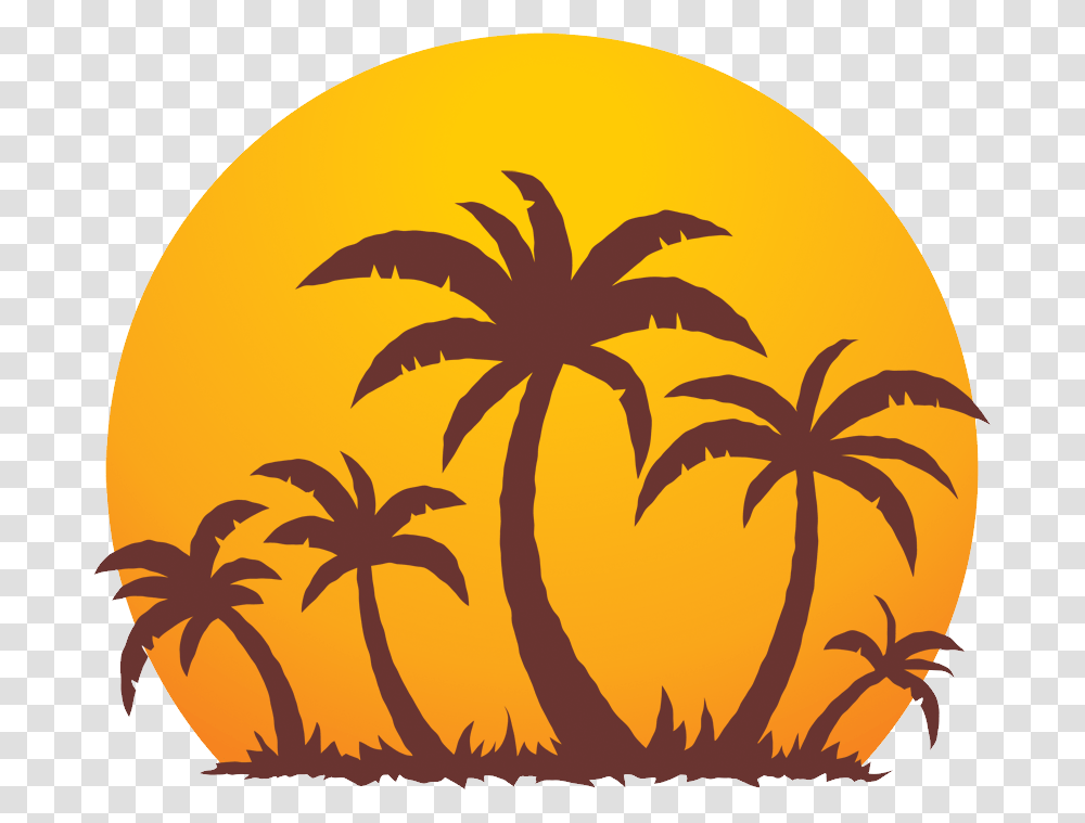 Palm Tree, Nature, Plant, Outdoors, Sky Transparent Png