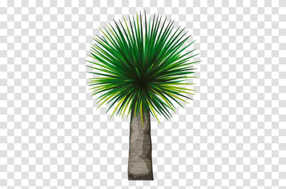 Palm Tree, Nature, Plant, Vegetation, Outdoors Transparent Png