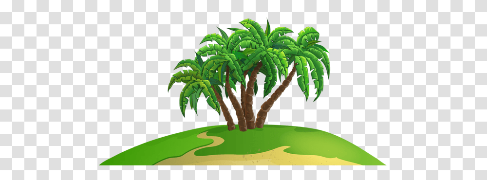 Palm Tree, Nature, Plant, Vegetation, Outdoors Transparent Png