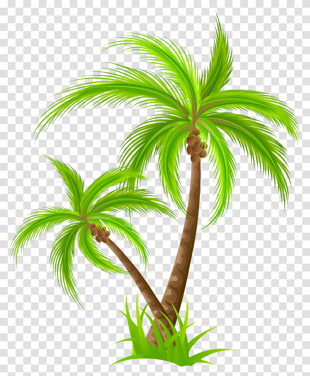 Palm Tree, Nature Transparent Png