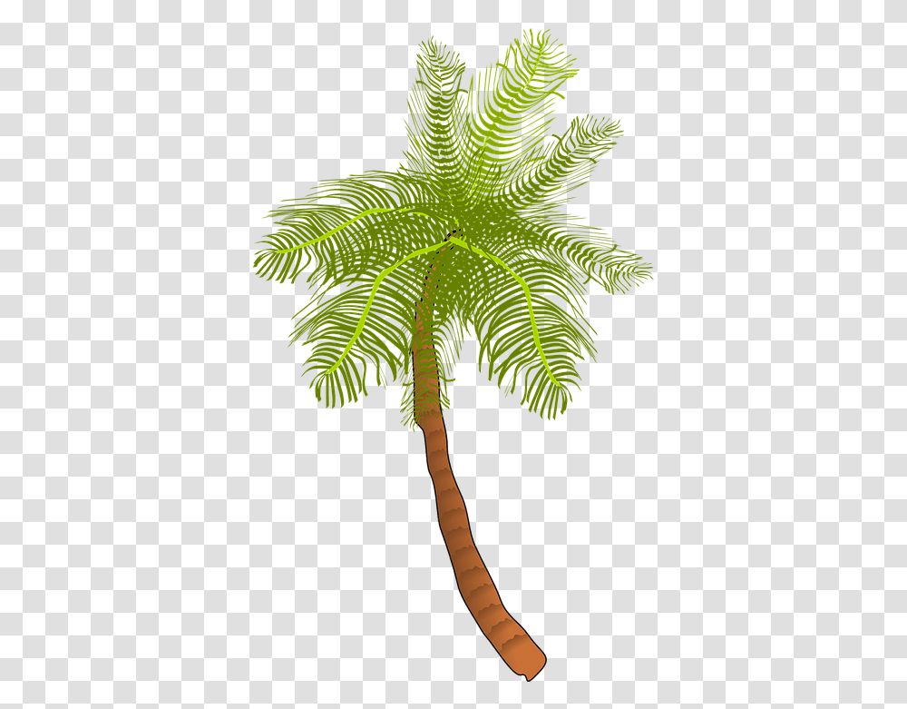 Palm Tree Ocean Free Vector Graphic On Pixabay Coconut Tree Clip Art, Plant, Leaf, Arecaceae, Fern Transparent Png