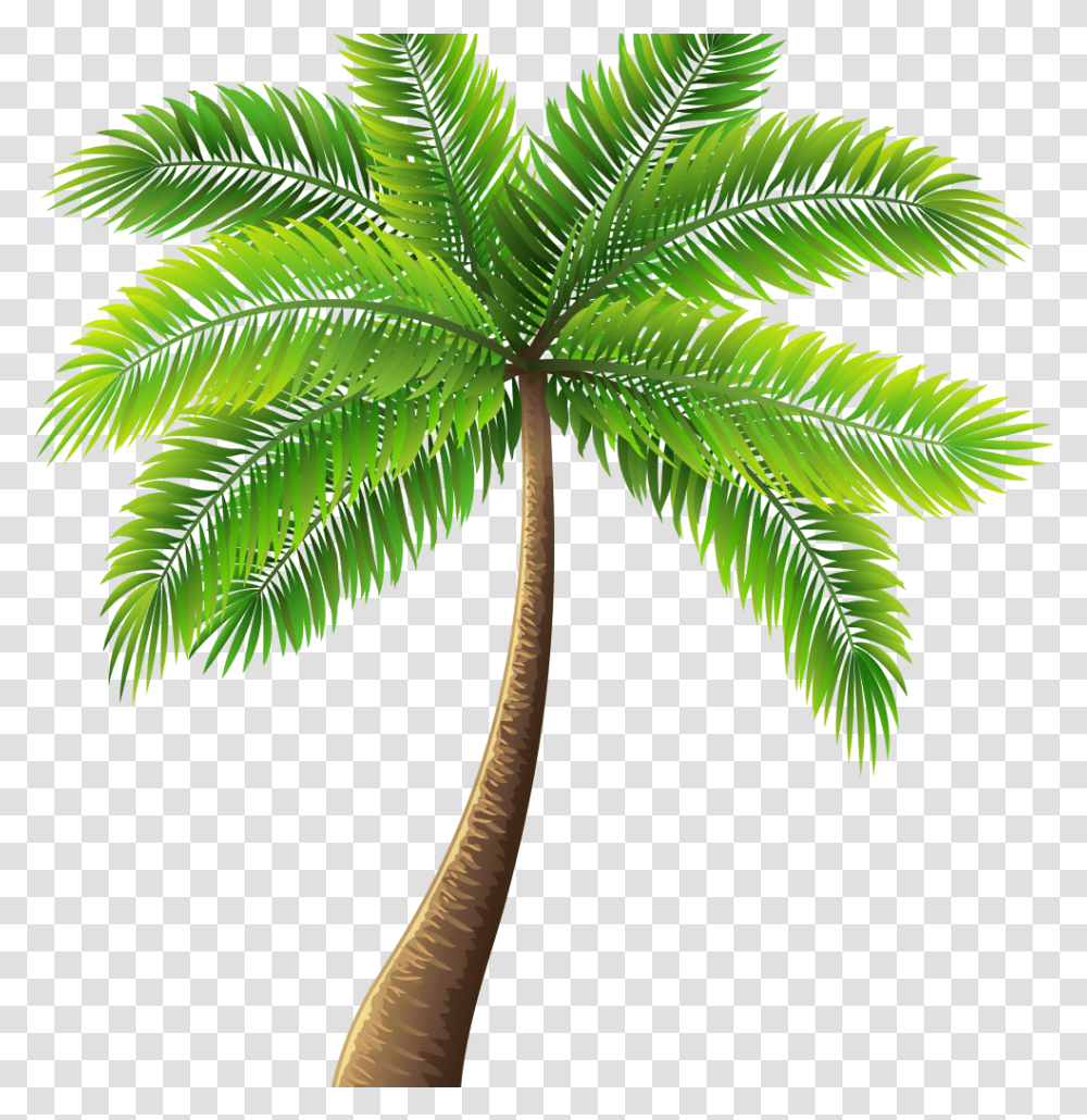 Palm Tree Painting Elegant Palm Tree Art Tropical Palm Palm Tree Background, Plant, Arecaceae, Leaf, Green Transparent Png