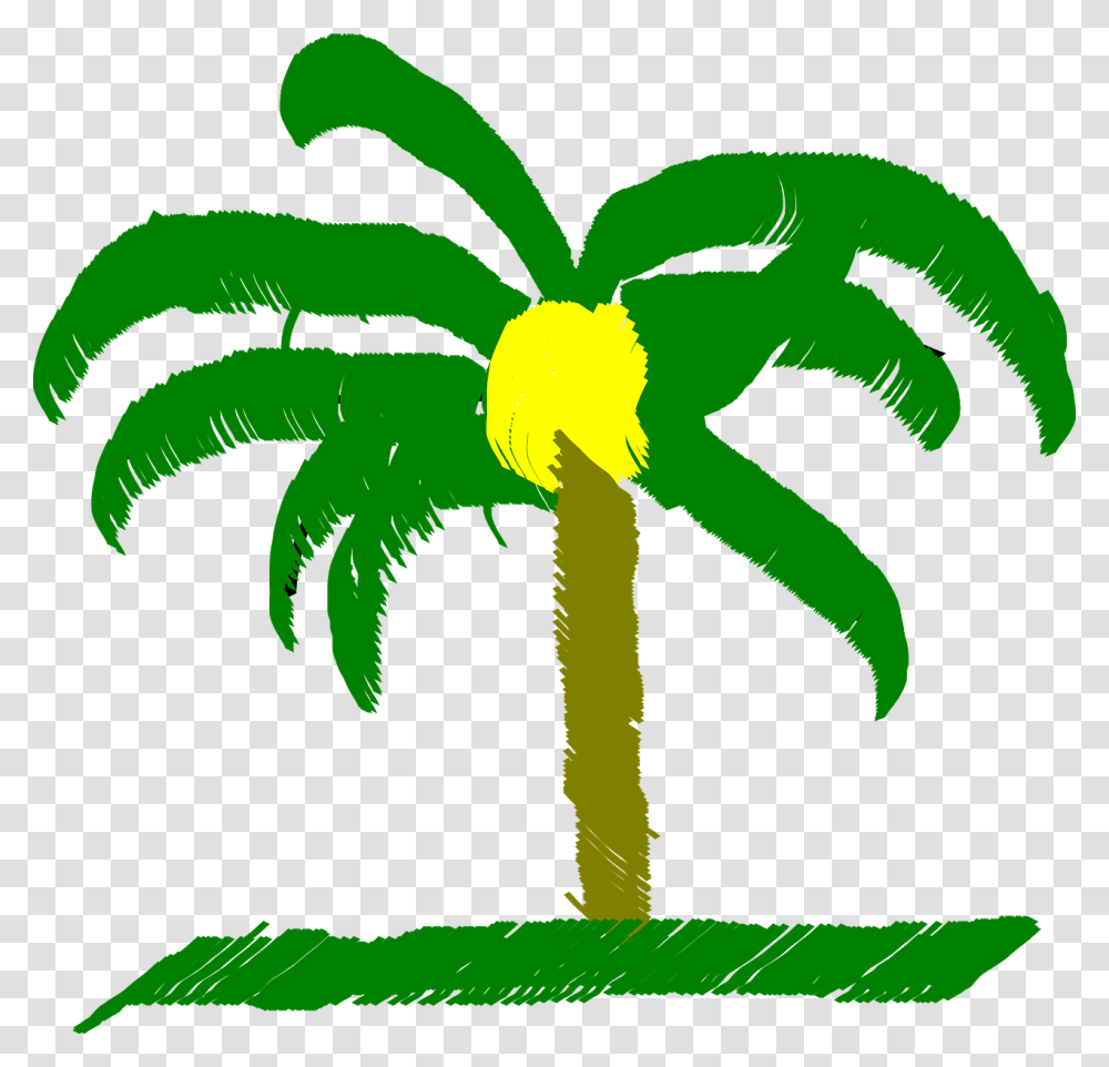 Palm Tree Palm Tree Beach Caribbean, Plant Transparent Png