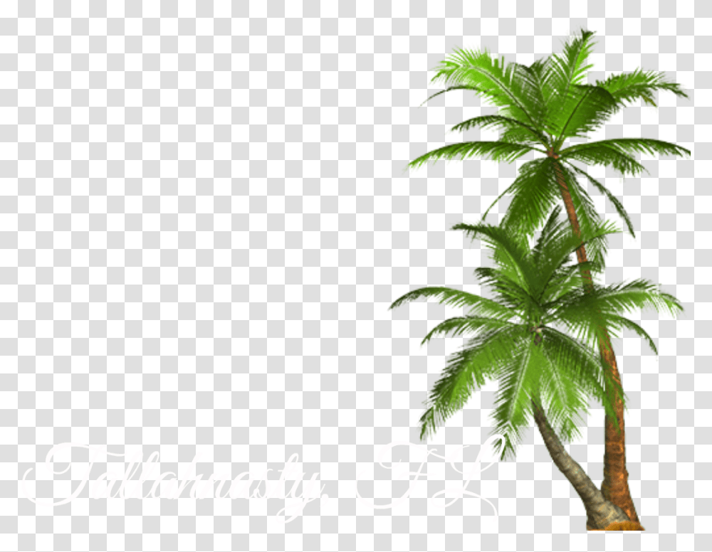 Palm Tree Palm Tree, Plant, Vegetation, Leaf, Hemp Transparent Png