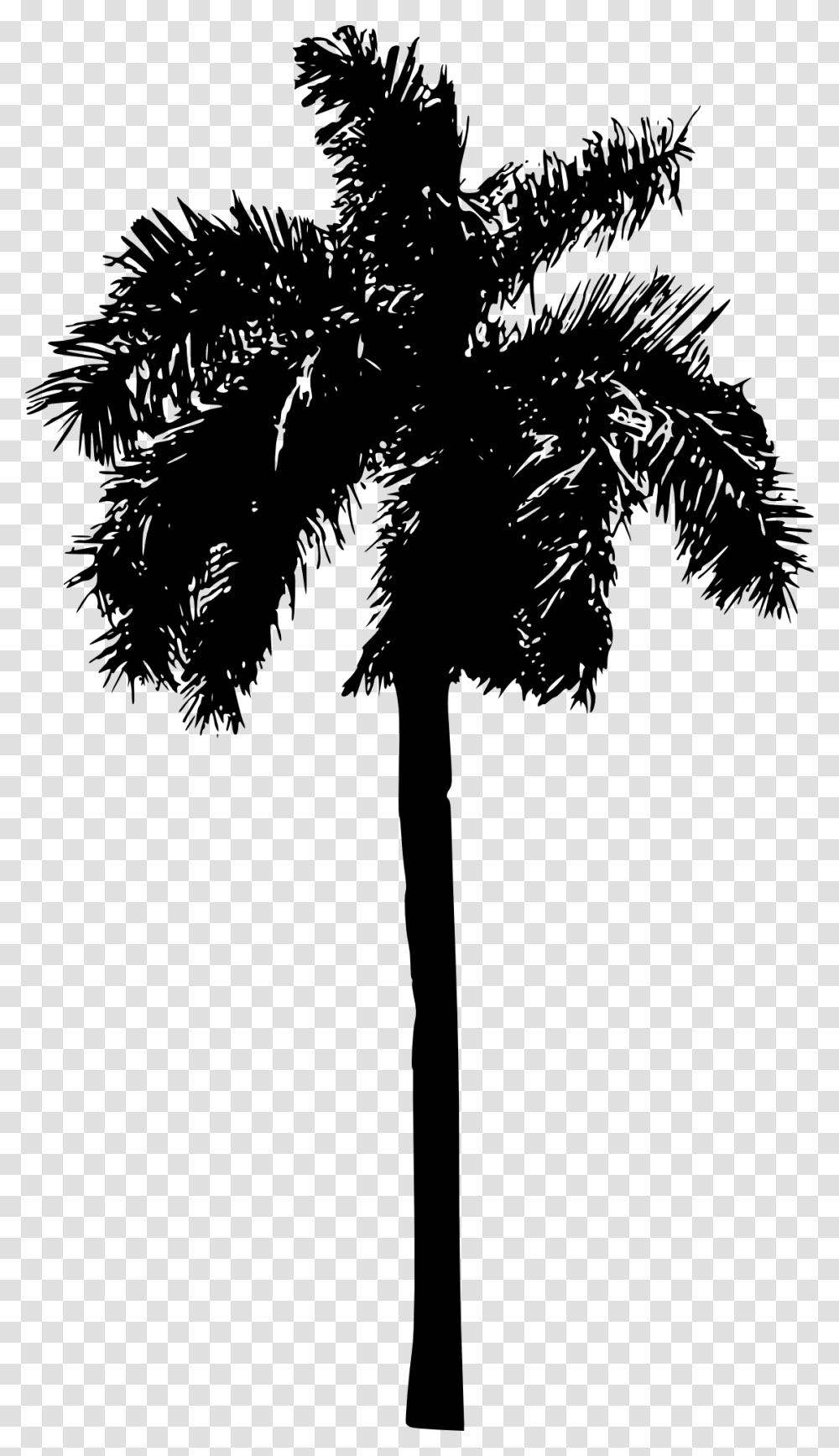 Palm Tree Palm Tree Silhouette, Plant, Arecaceae, Apparel Transparent Png