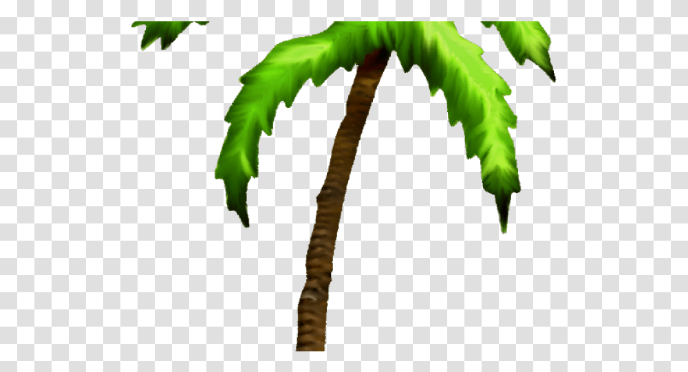 Palm Tree Palm Trees, Plant, Leaf, Fern, Bird Transparent Png