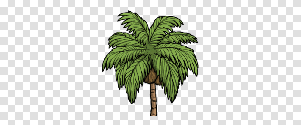 Palm Tree Palmtree, Plant, Leaf, Arecaceae, Annonaceae Transparent Png