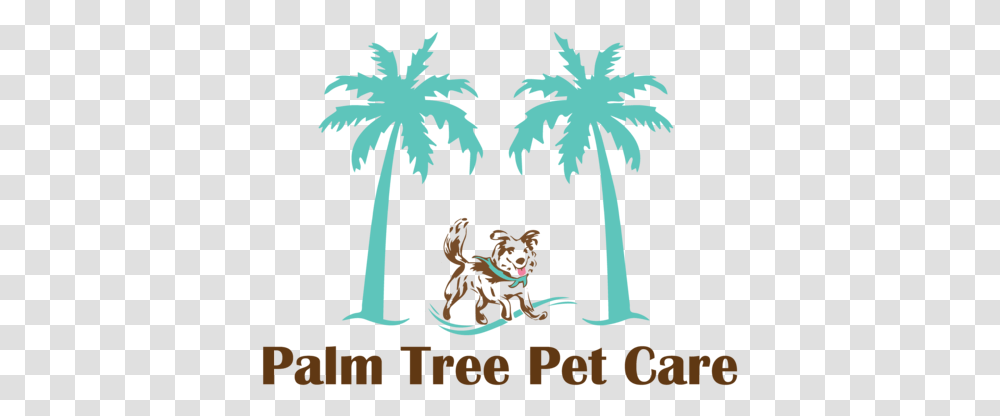 Palm Tree Pet Care Logo, Plant, Arecaceae, Poster, Advertisement Transparent Png