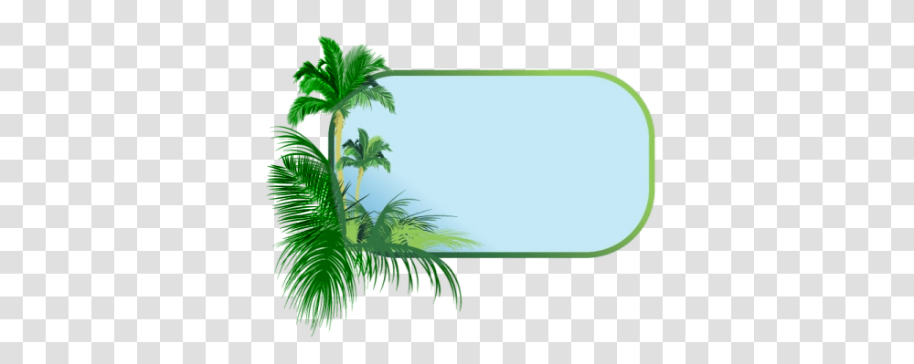 Palm Tree Picture Frames Clipartsco Tree Frame And Border, Potted Plant, Vase, Jar, Pottery Transparent Png
