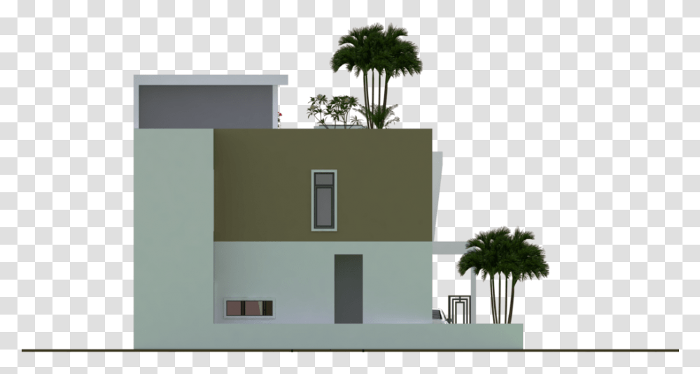 Palm Tree Plan Architecture, Plant, Housing, Building, Villa Transparent Png