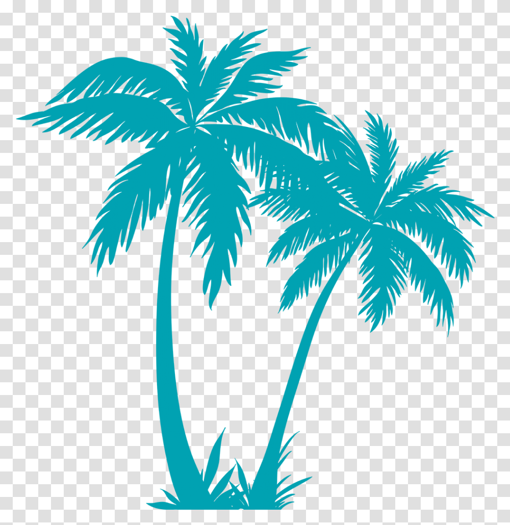 Palm Tree Plan Palm Tree Vector, Plant, Bird, Animal, Arecaceae Transparent Png