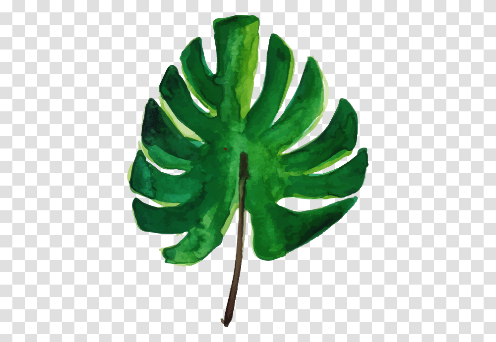 Palm Tree, Plant, Aloe, Leaf, Cucumber Transparent Png