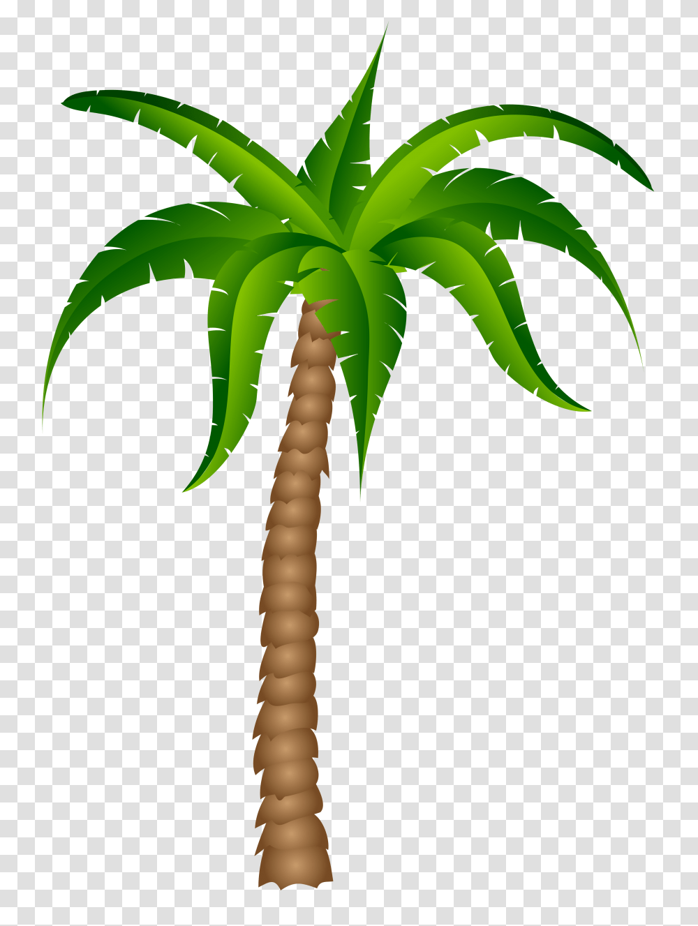 Palm Tree, Plant, Arecaceae, Cross Transparent Png