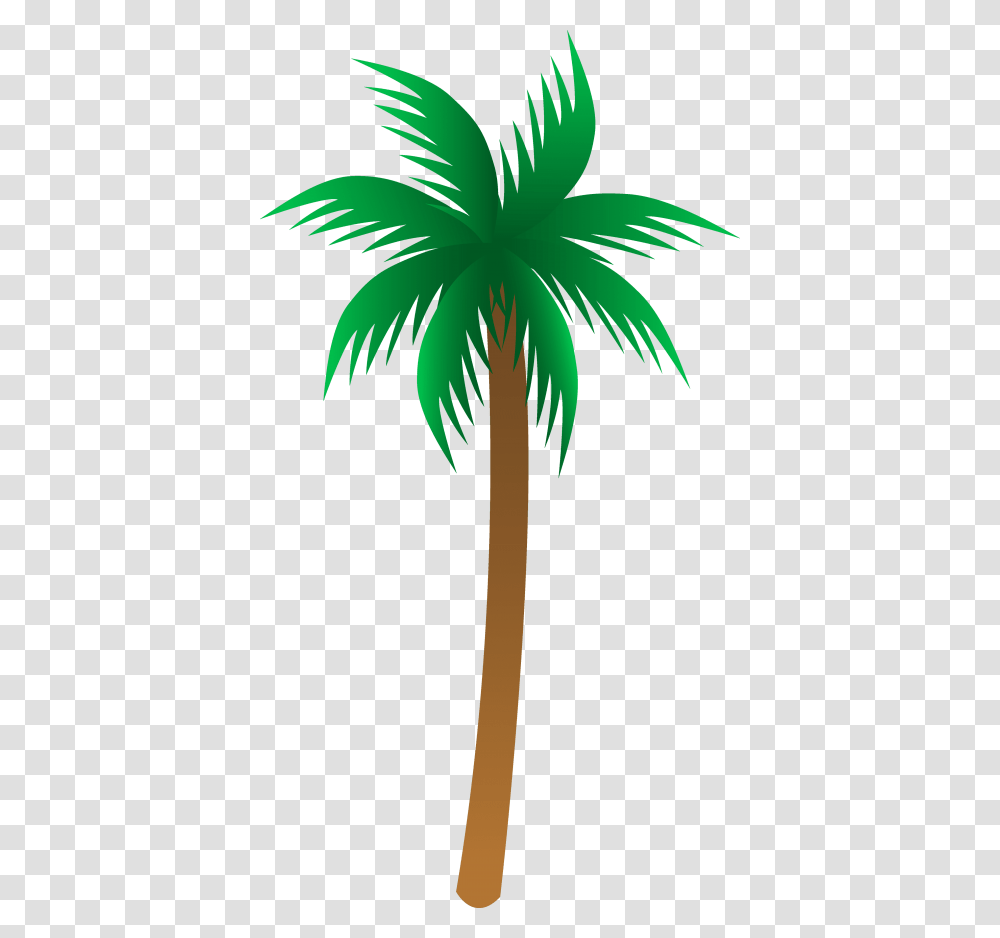 Palm Tree, Plant, Arecaceae, Green, Leaf Transparent Png