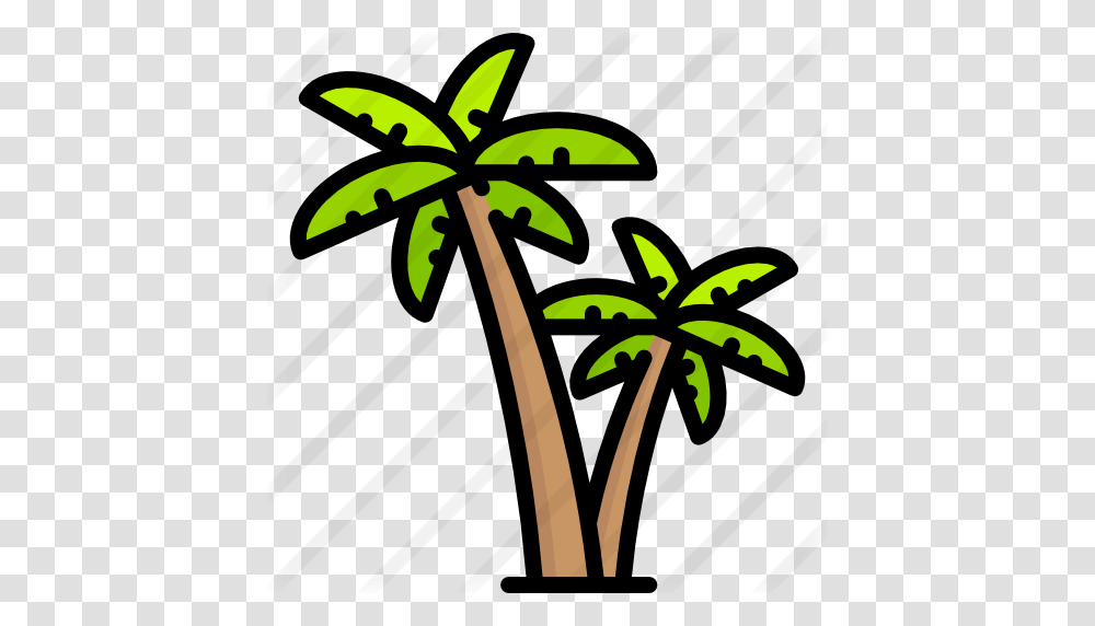 Palm Tree, Plant, Arecaceae, Leaf, Green Transparent Png