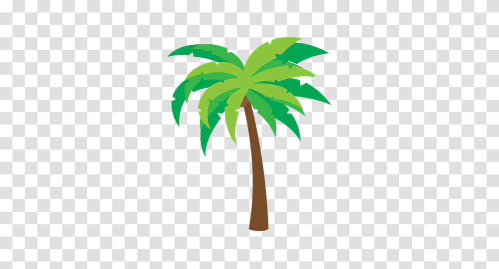 Palm Tree, Plant, Arecaceae, Painting Transparent Png