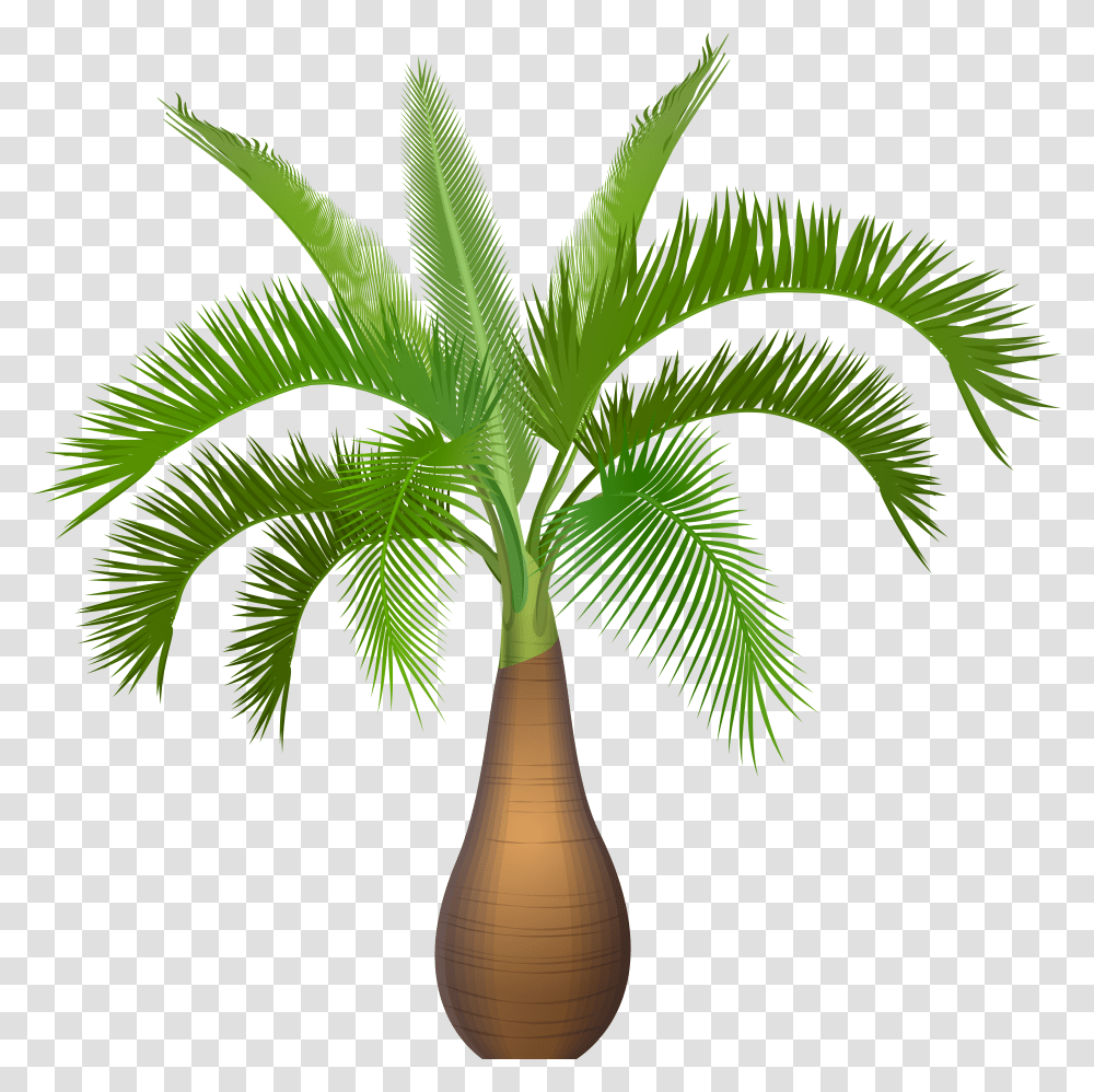 Palm Tree Plant Clip Art Image Palm Tree Plant Clipart Transparent Png
