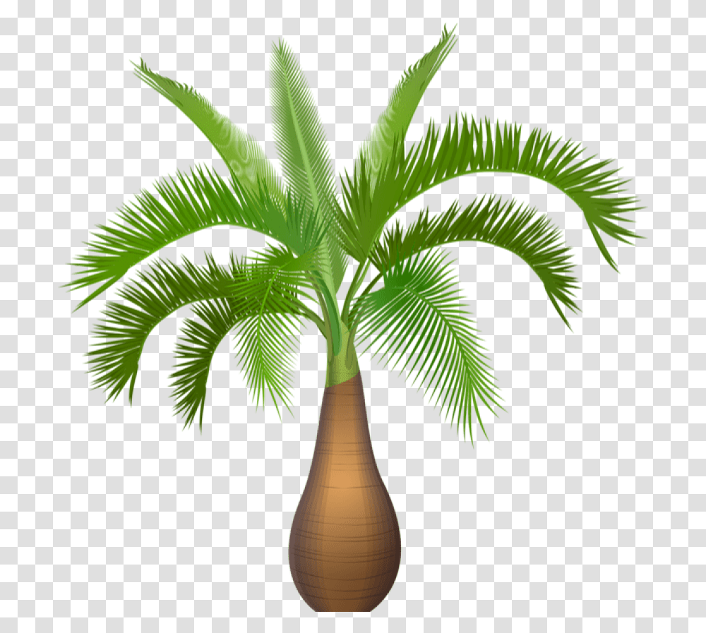 Palm Tree Plant Clip Art Image Palm Trees Palm Tree Plant Clipart, Arecaceae, Lamp, Leaf Transparent Png