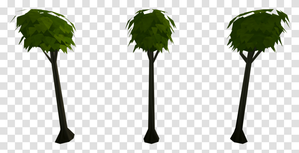 Palm Tree, Plant, Lamp Post, Silhouette, Arecaceae Transparent Png