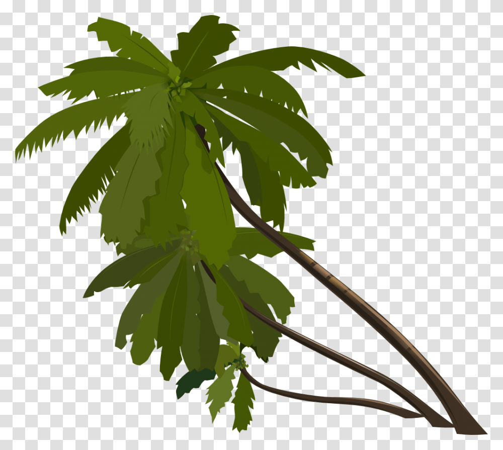 Palm Tree, Plant, Leaf, Green, Vase Transparent Png