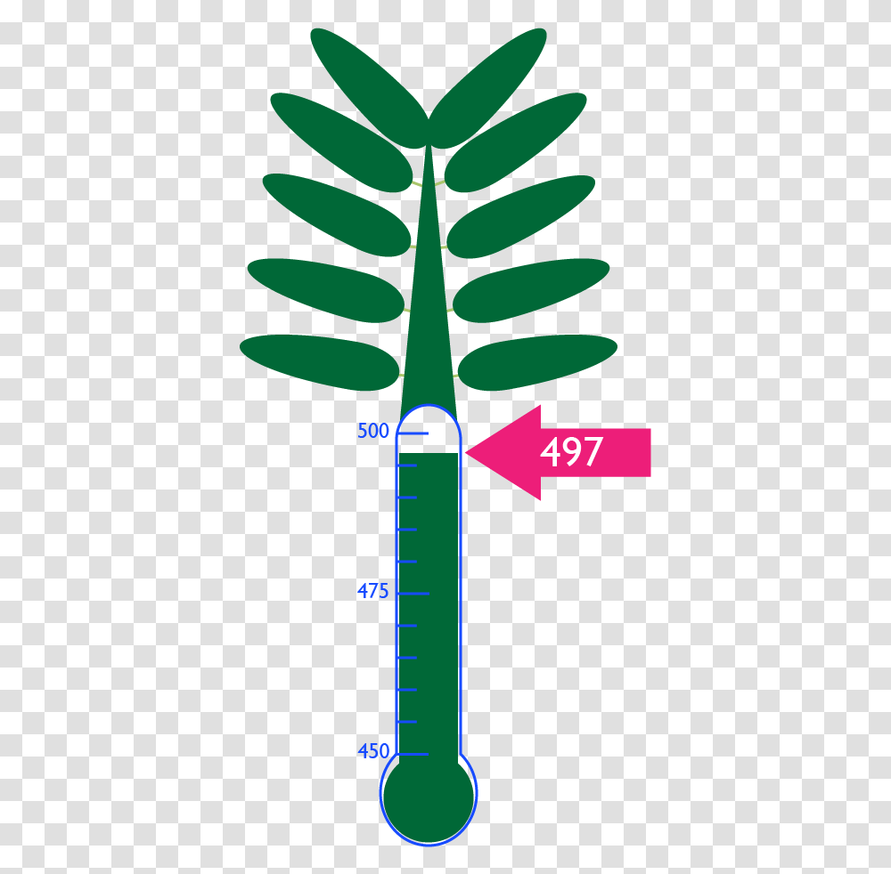 Palm Tree, Plot, Diagram, Plant, Measurements Transparent Png